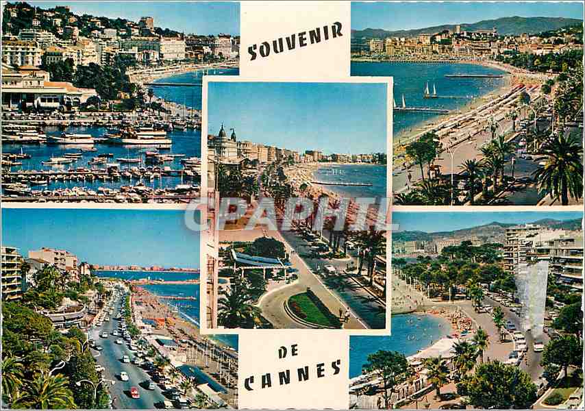 CPM Cannes AM Le Port le Casino municipal et la Croisette 