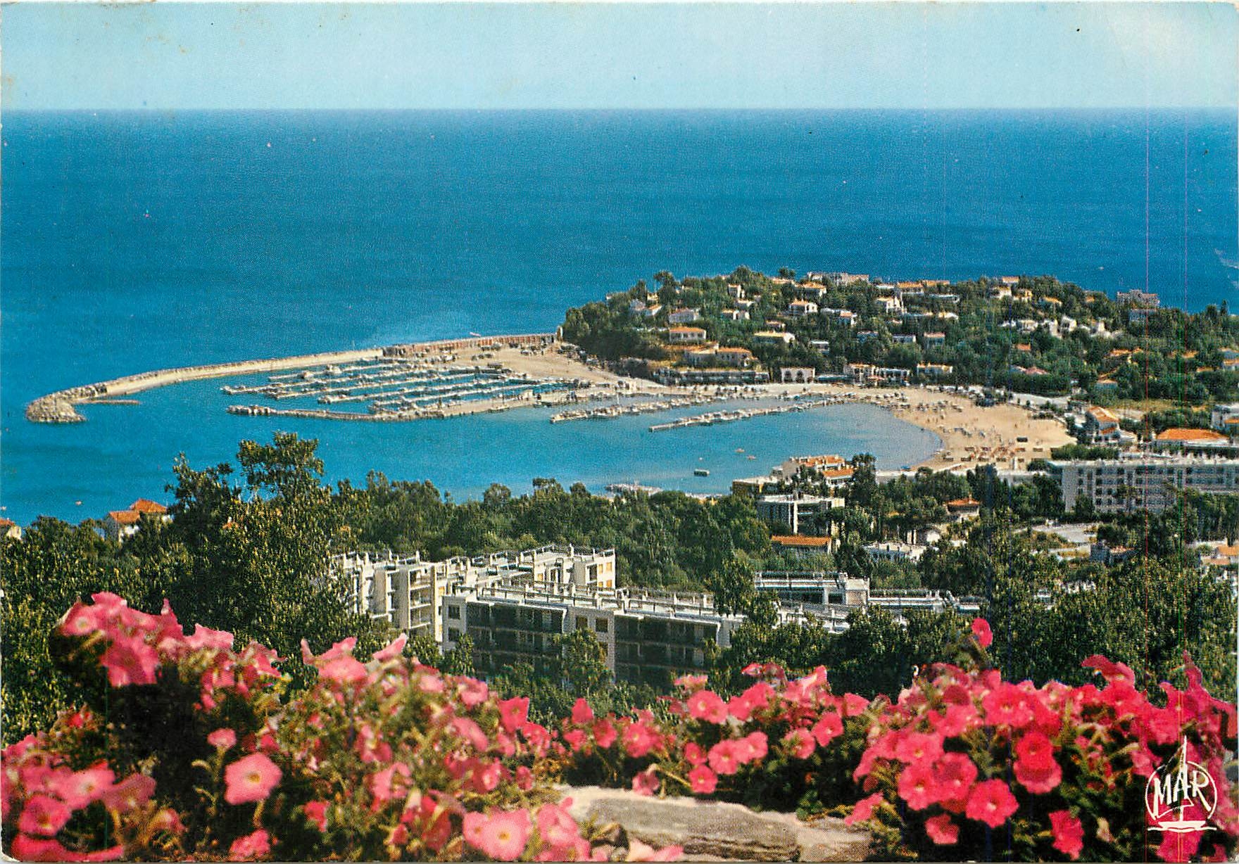 CPM La Cote d'Azur Cavalaire sur Mer Var Vue sur le Port 