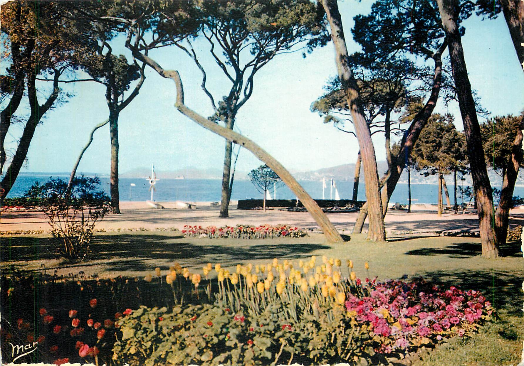 CPM La Cote d'Azur Juan les Pins La Pinede 