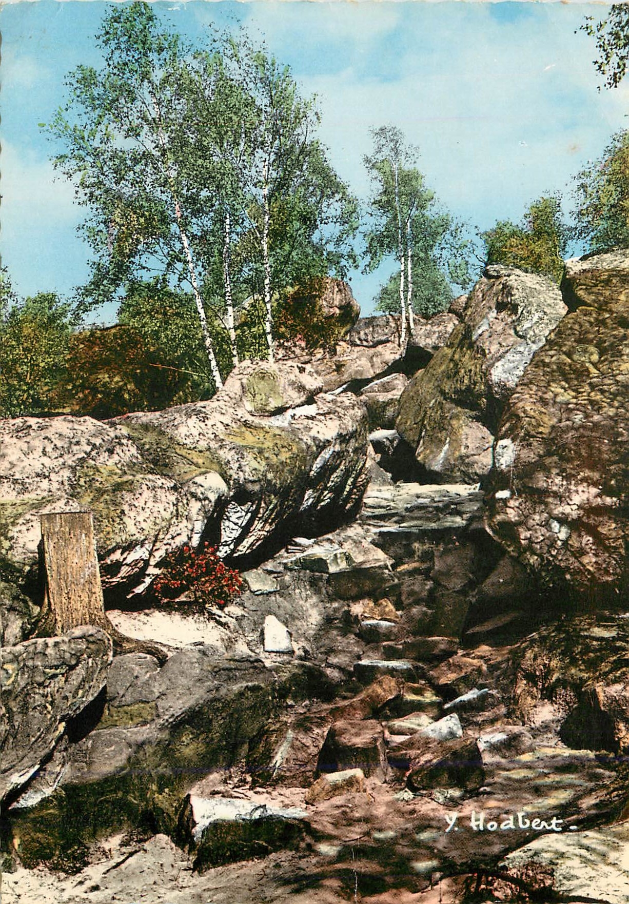Wald von Fontainebleau — Höhleweg — Verlag Y. Hodbert
