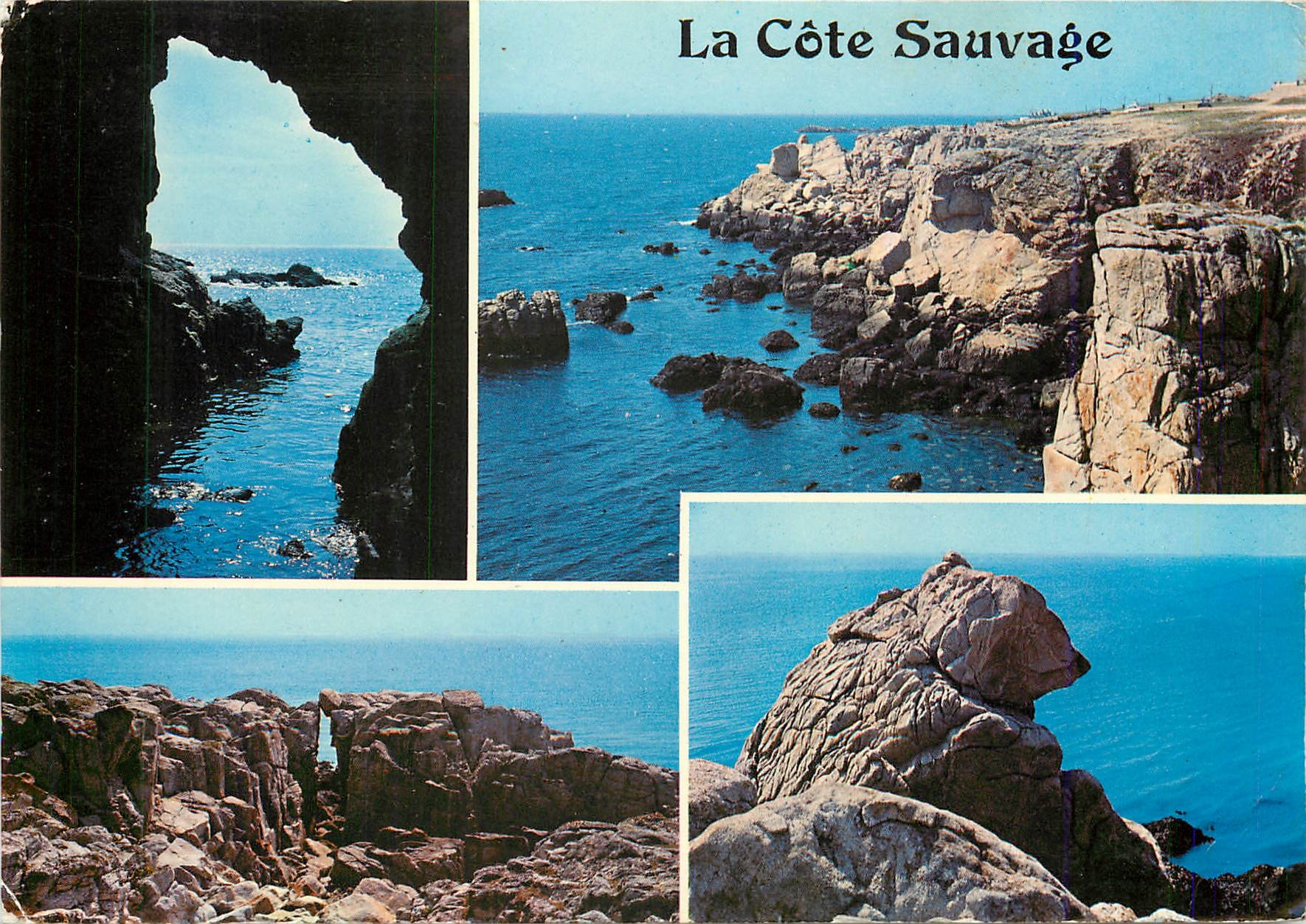 CPM La Bretagne Touristique Presqu'ile Guerandaise La Cote Sauvage 