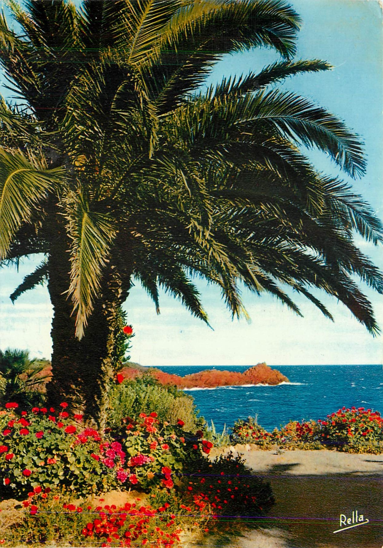 CPM La Cote d'Azur Jardin Fleuri au bord du rivage 
