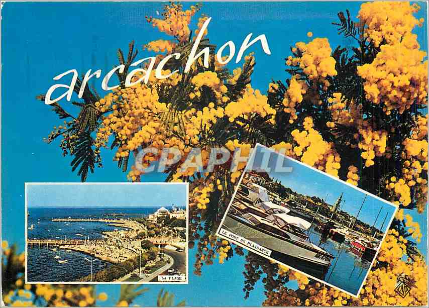 CPM Cote d'Argent Arcachon 