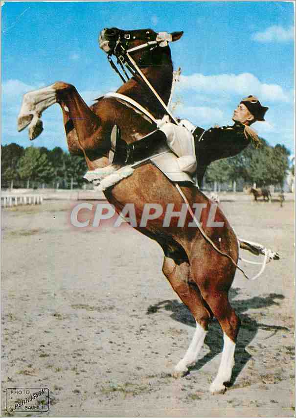 CPM Saumur Ecole de Cavalerie Courbette Cheval Militaria