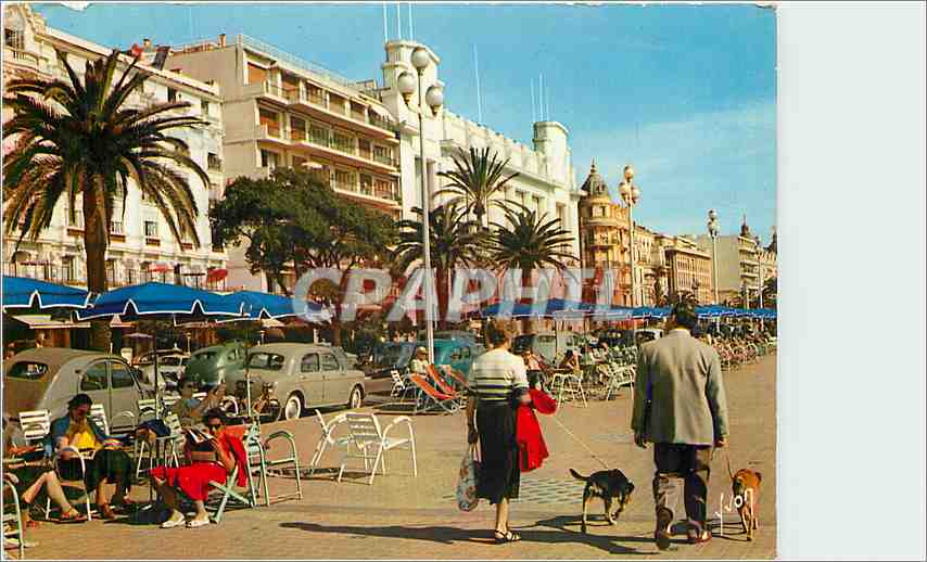 CPM La Cote d'Azur miracle de la natire Nice Alpes Maritimes 