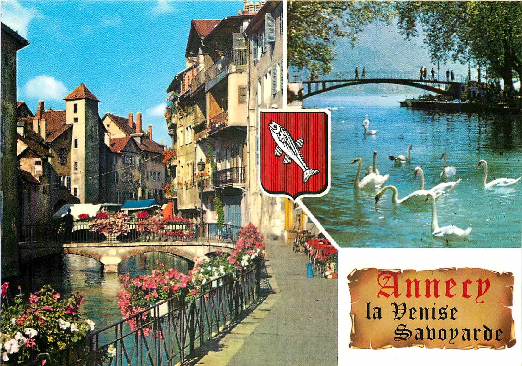 CPM Annecy Les quais fleuris du vieil Annecy sur le canal du Thiou Cygnes