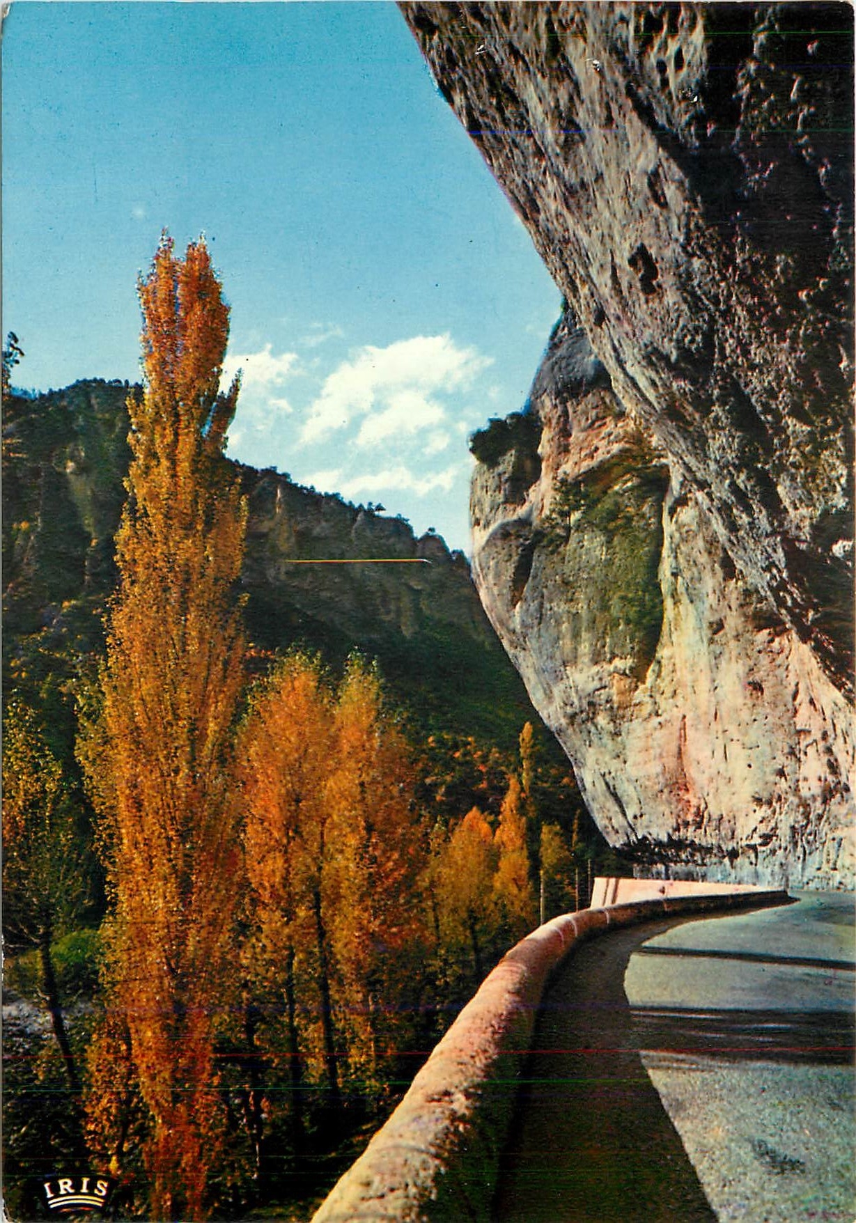 CPM Les Gorges du Tarn L'encorbellement des rochers 