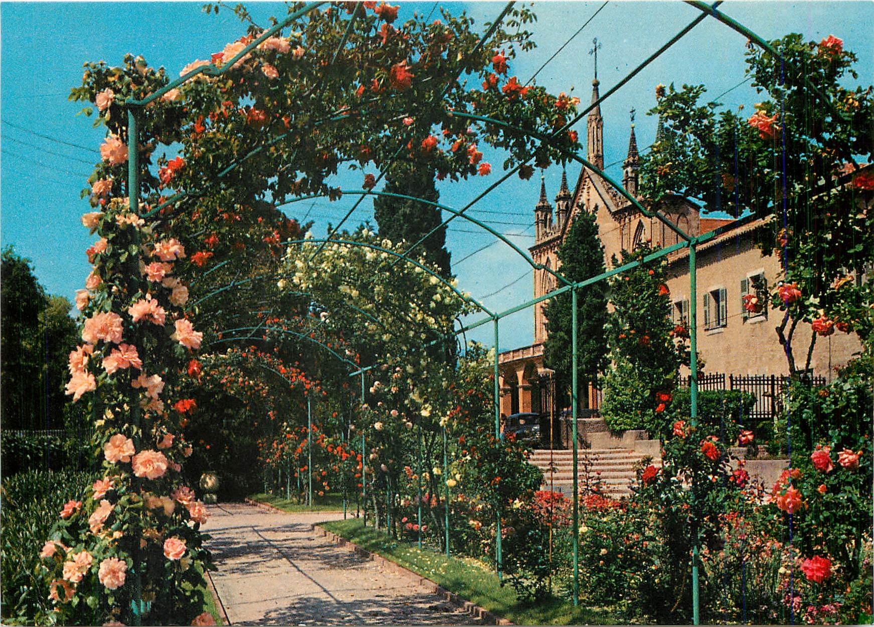 CPM Nice Alpes Maritimes Les jardins du Monastere de Cimiez 