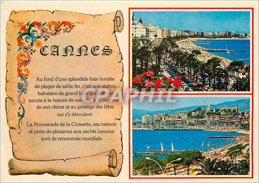 CPM Cote d'Azur French Rivera Cannes Alpes Maritimes 