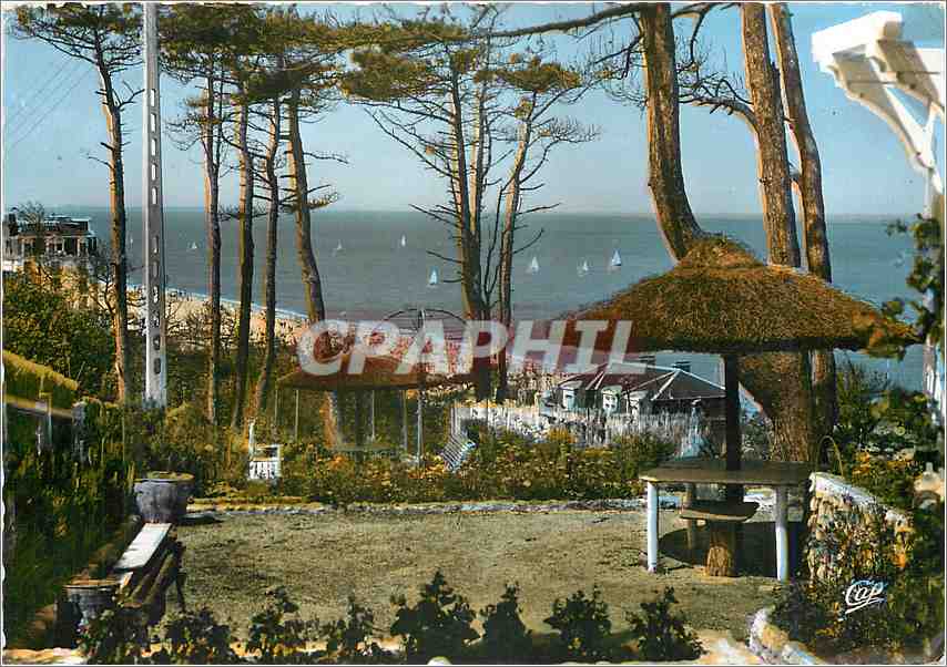 CPM Houlgate Le Jardin de la Villa Titania et la Plage 