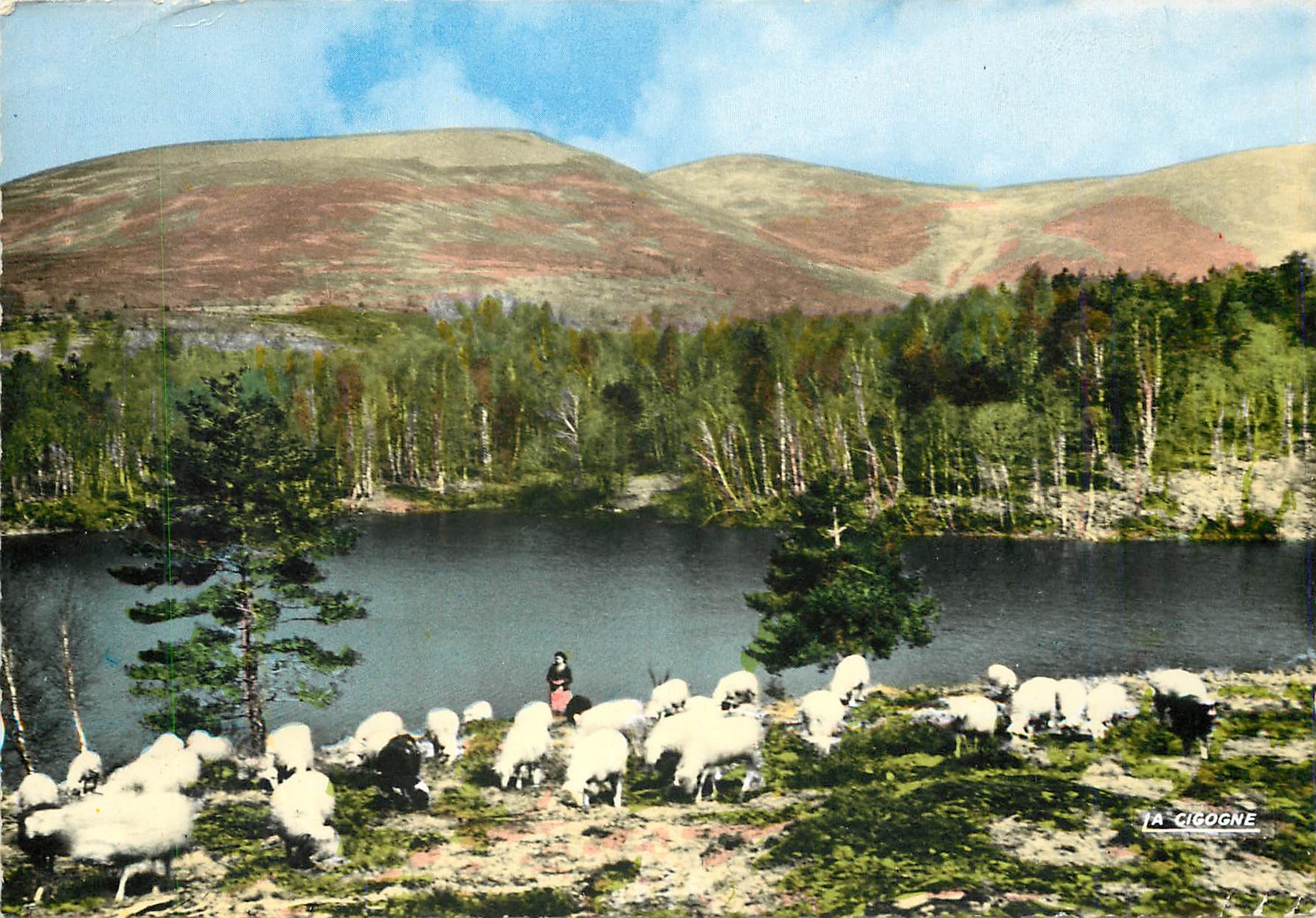 CPM Correze Pittoresque Paysage Limousin Bergere Moutons