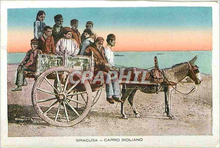 CPM Siracusa Carro Siciliano Enfants Ane Mule