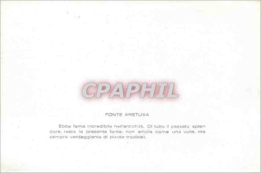 CPM Siracusa Fonte Aretusa  — Back