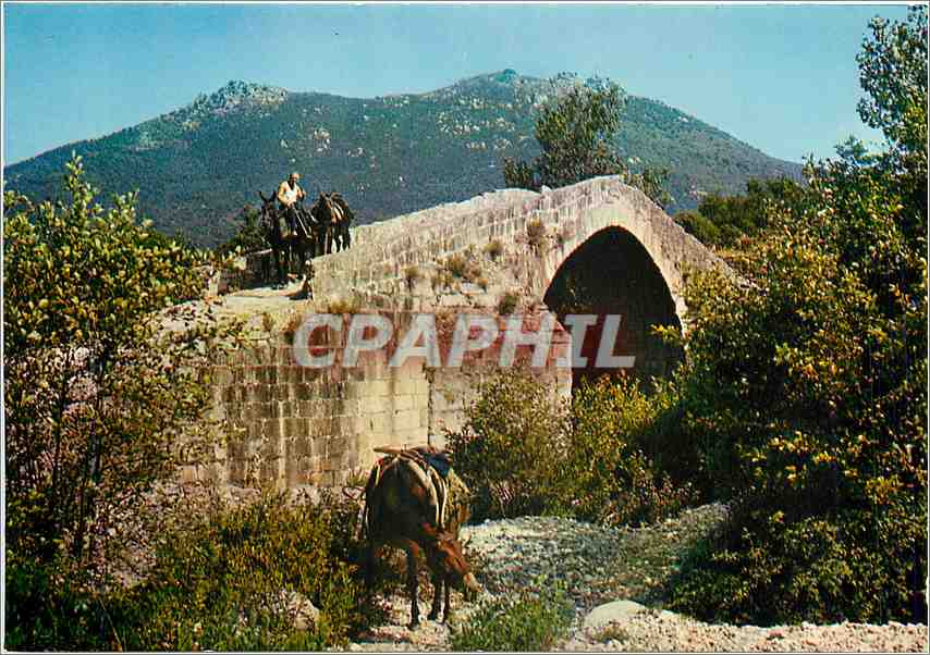 CPM Pont Genois aux environs de Sartene 