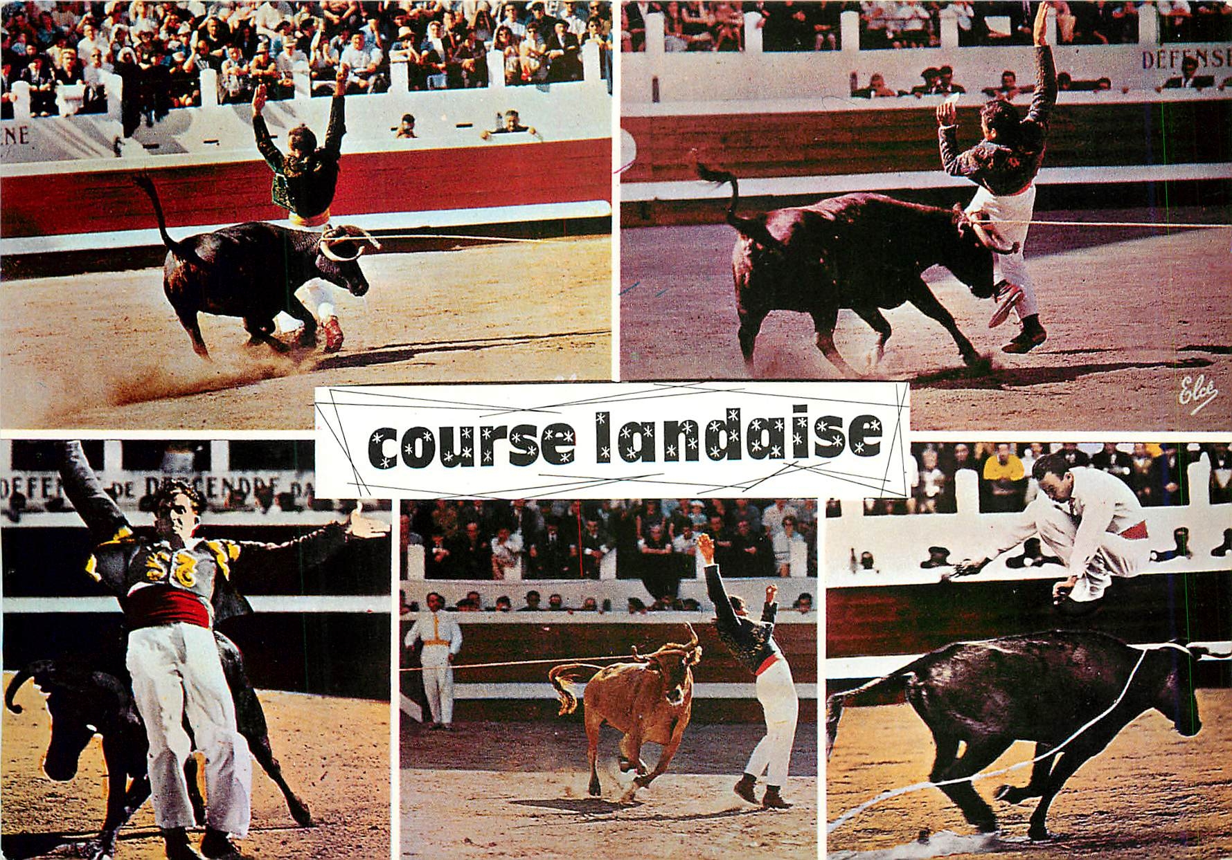 CPM Course Landaise de gauche a droite Taureau Corrida 