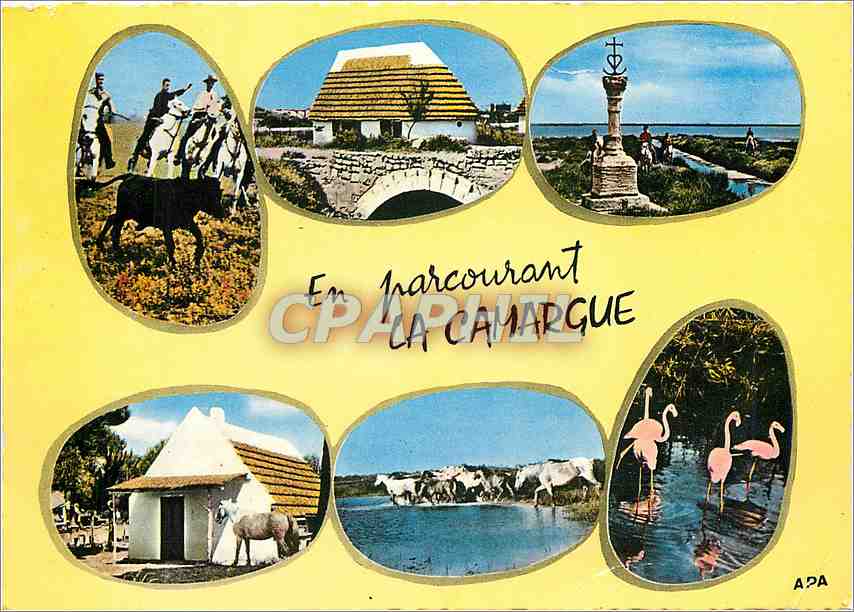 CPM En Camargue Ferrade Cabane de gardians Croix des gardians Taureau Cygnes