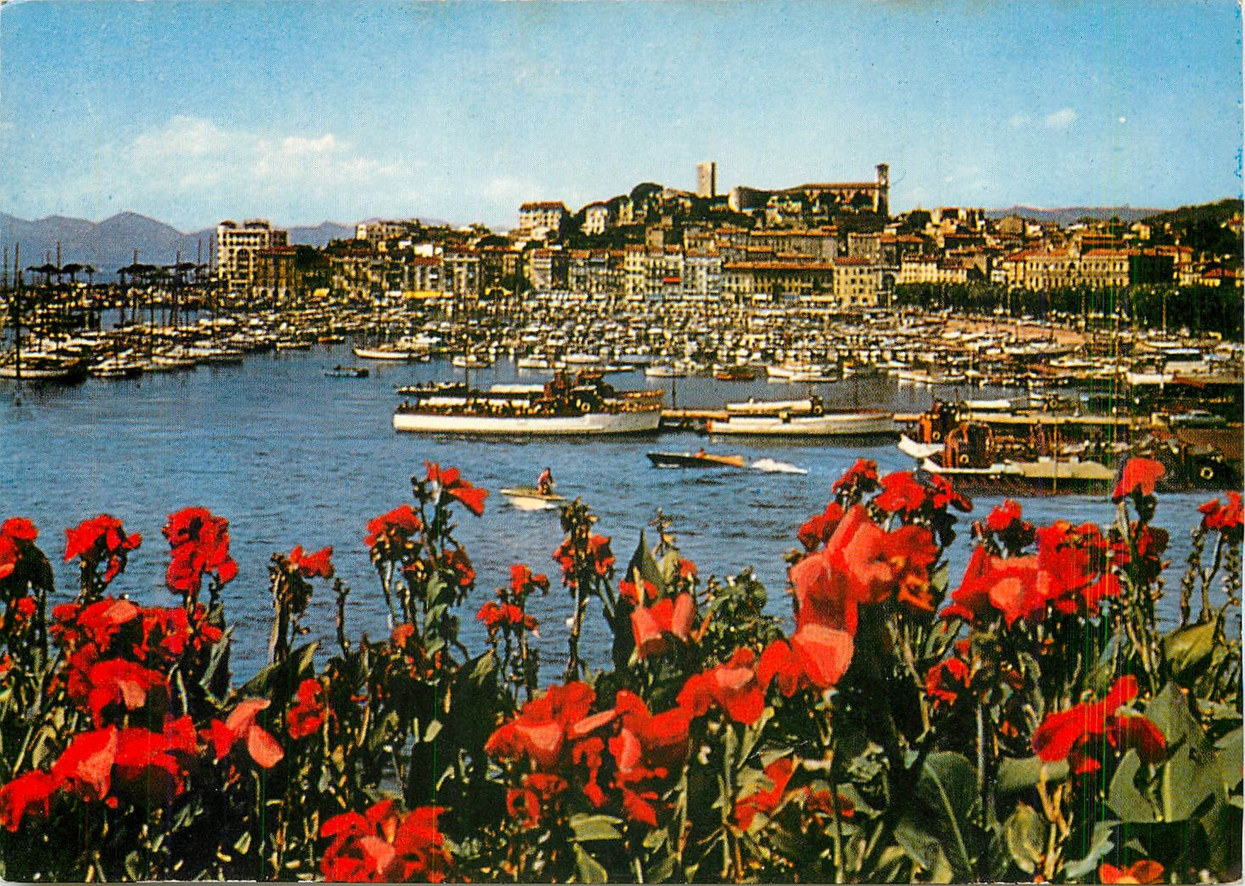 CPM Cannes Vue generale sur le Suquet et un coin du Port 