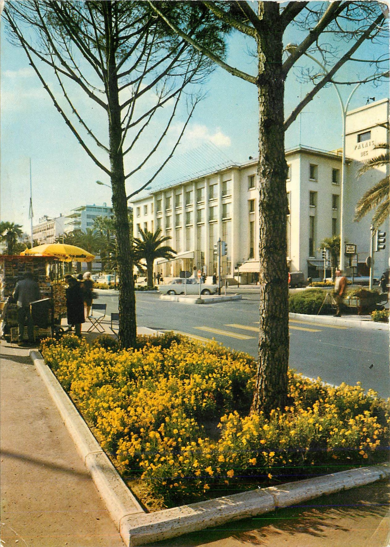 CPM La Cote d'Azur Pays du Soleil Cannes AM La Croisette et le Palais des Festivals 