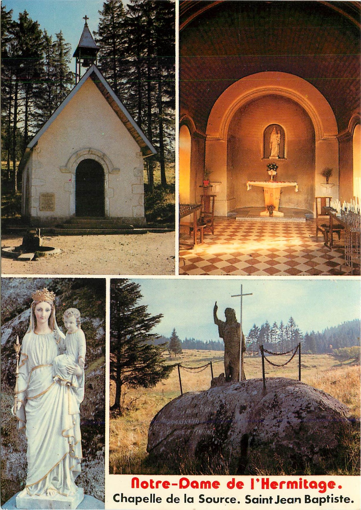CPM Notre Dame de l'Hermitage Loire La Chapelle La Statue 
