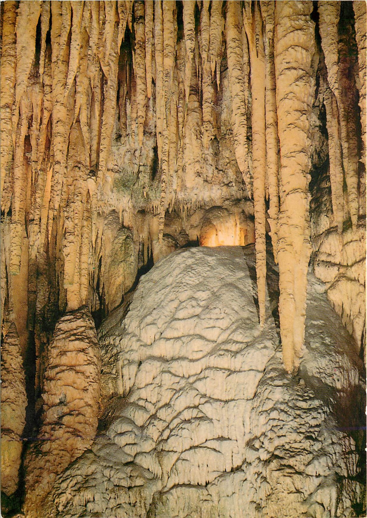 CPM Audrix le Bugue sur Vezere Dordogne La Cascade blanche sous remarquables stalactites 