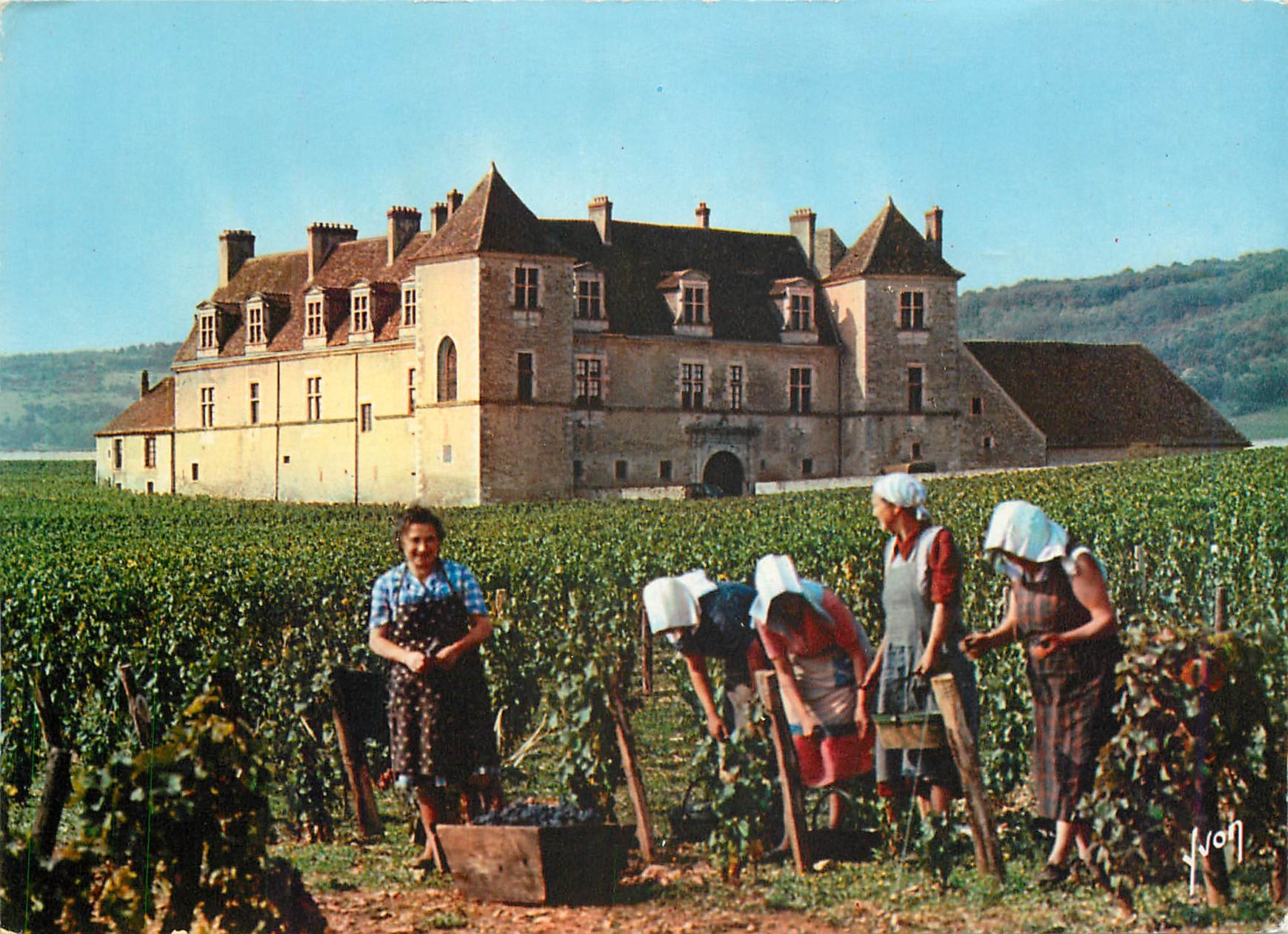 CPM Couleurs et Lumiere de France La Bourgogne Chateau du Clos Vougeot (Cote d'Or) Folklore