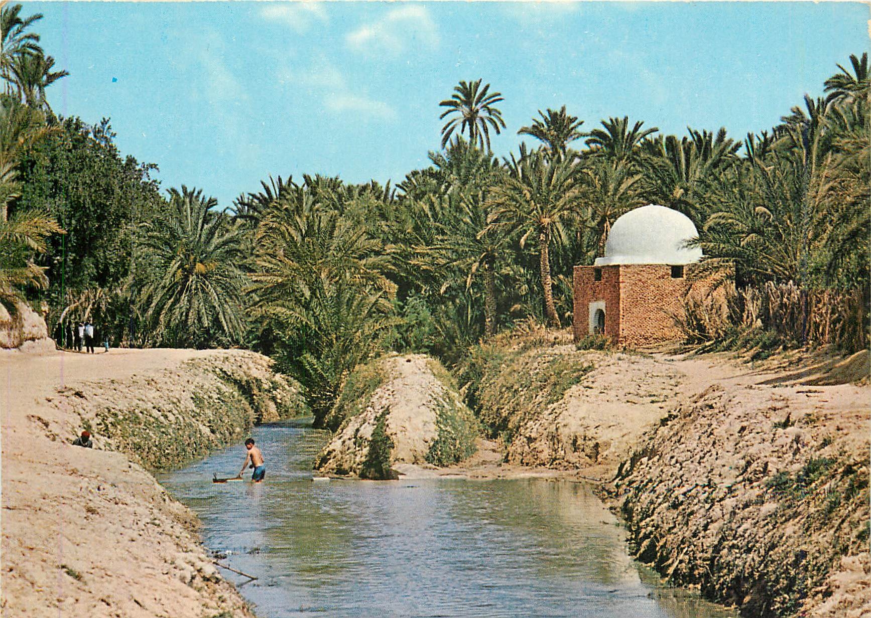 CPM Tozeur Riviere et mamabout dans l'oasis