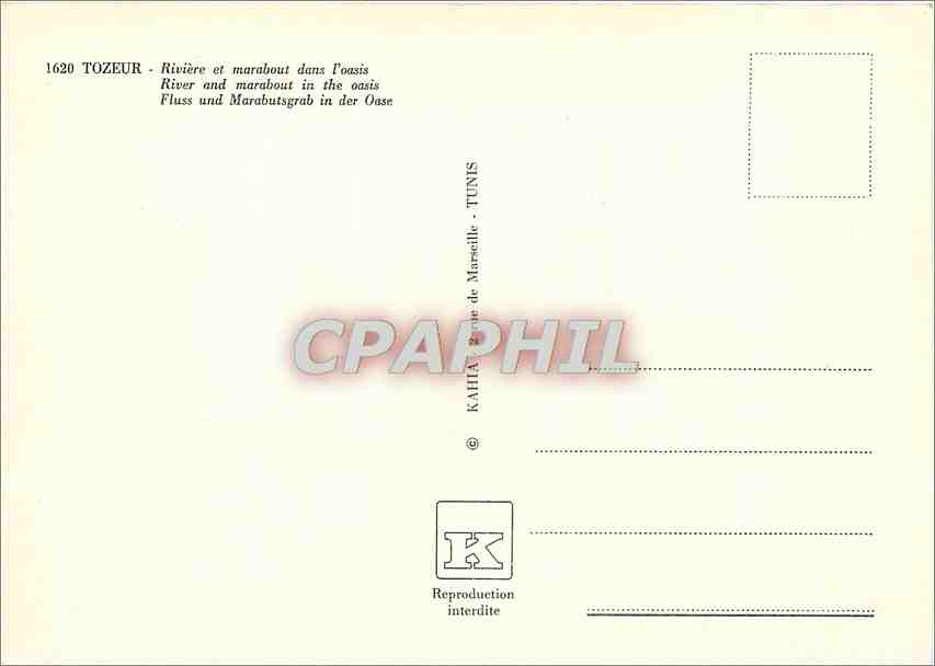 CPM Tozeur Riviere et marabout dans l'oasis — Rückseite