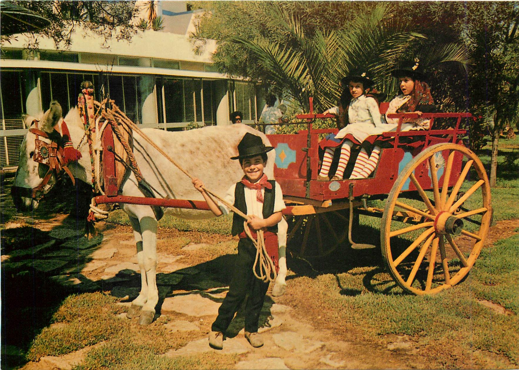 CPM Algarve Portugal Typique costumes Folklore