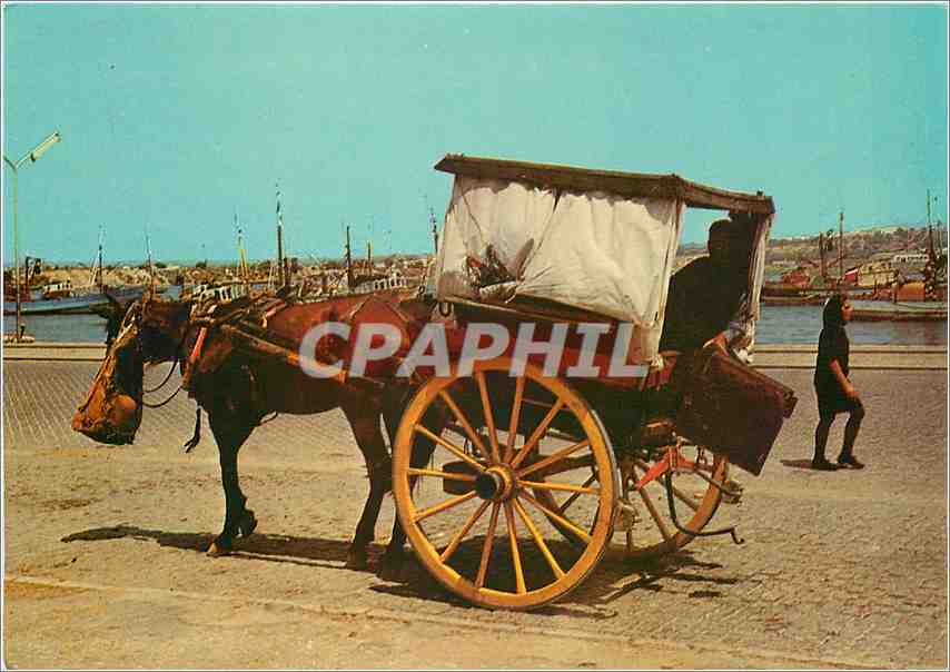CPM Algarve Portugal Transport tipique