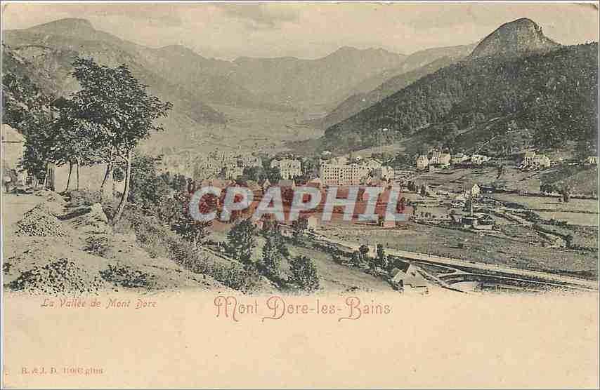 CPA Mont Dore les Bains La Vallee de Mont Dore