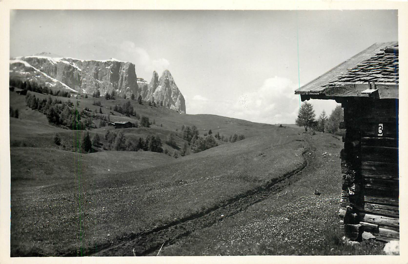 CPA Motive sull'Alpe du Suisi verso Scillar (m 2561)Dolomiti