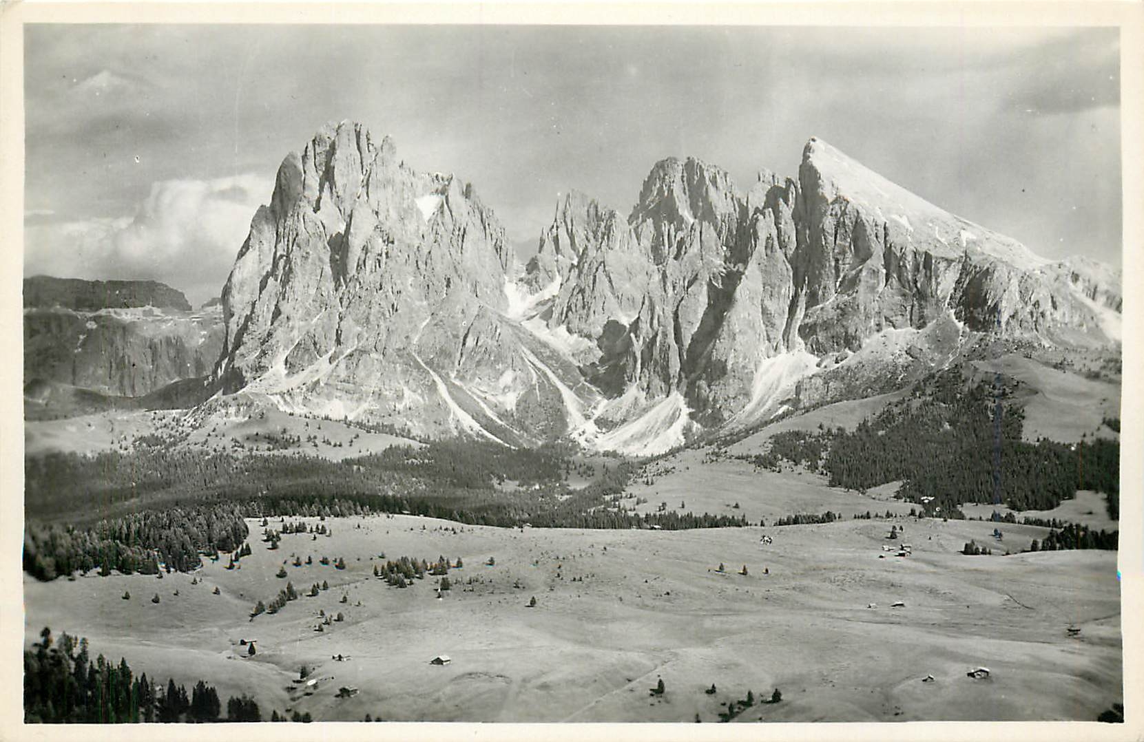 CPA Gruppo del Sassolungo (m 3178) dall'Alpe di Siusi