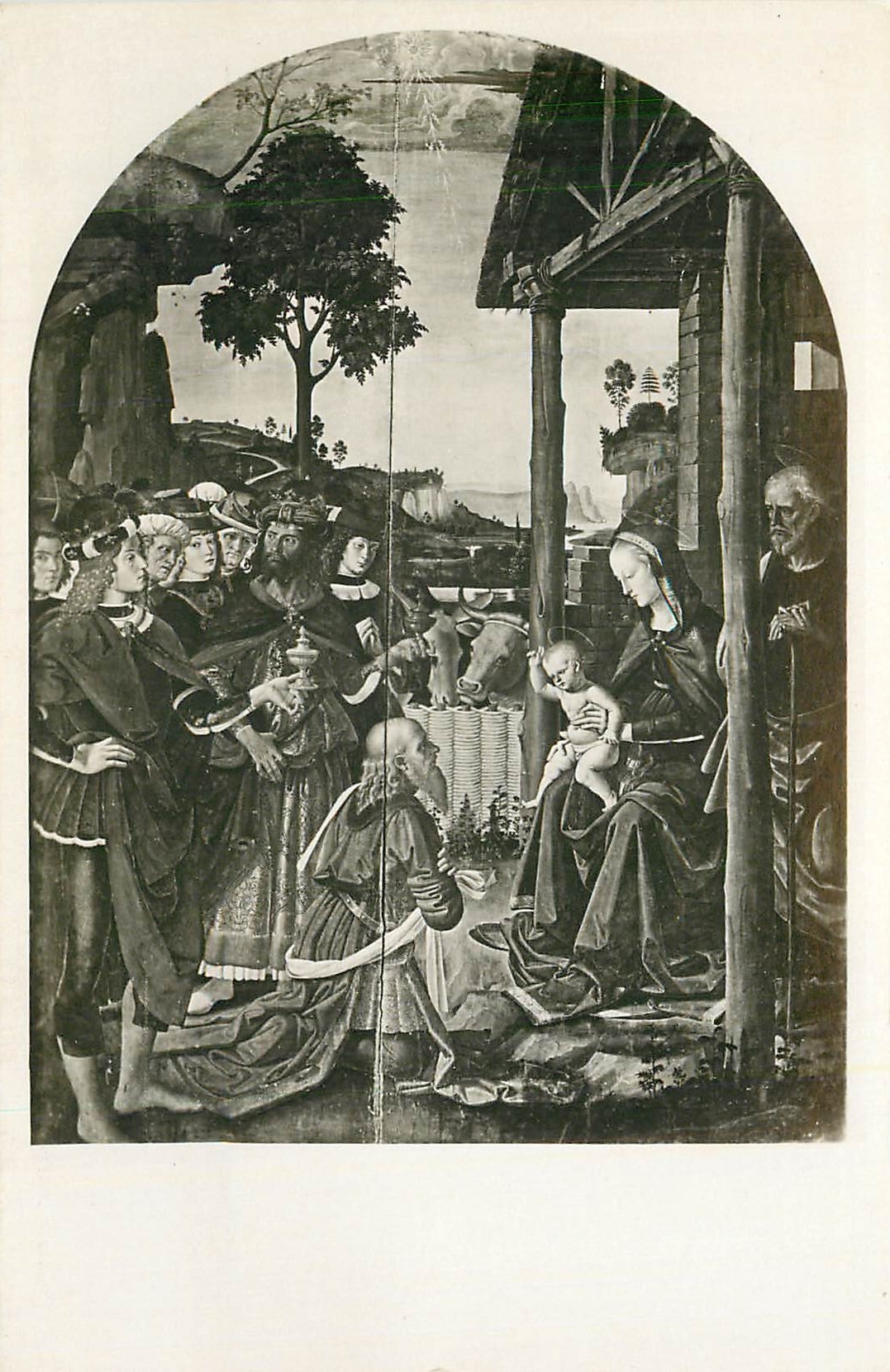 CPA Perugia R Pinacoteca Vannucci L'Adorazione dei re Magi (Fiorenzo)
