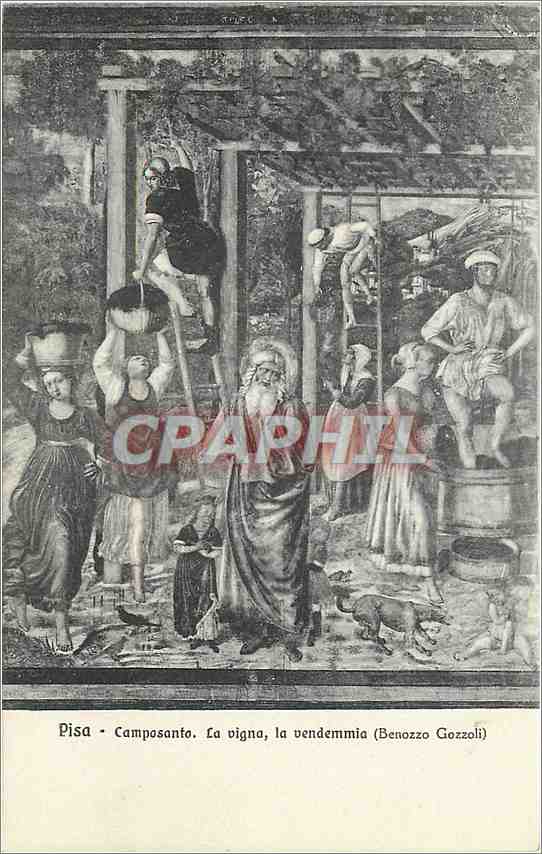 CPA Pisa Composanto La Vigna la vendemmia (Benozzo Gozzoli)