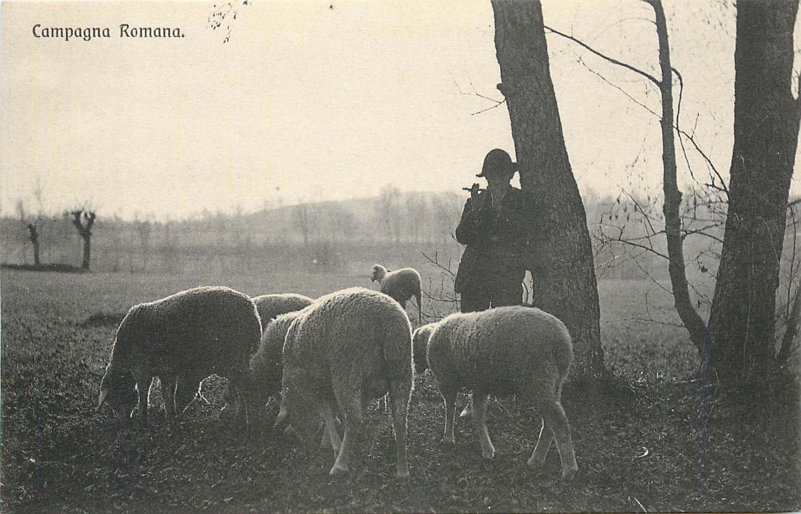 CPA Campagna Romana Berger Moutons