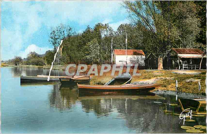 CPM Nanteuil les Meaux (S et M) La Guinguette au bord de la Marne