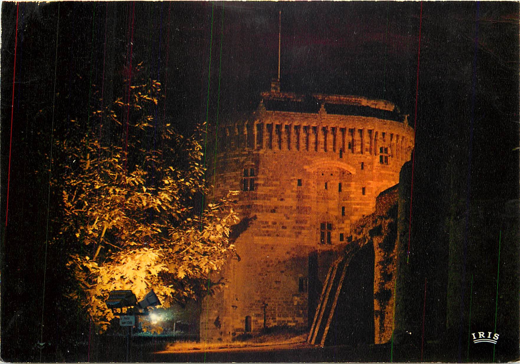 CPM Dinan Cite Medievale Le chateau de la Duchesses Anne vu de nuit