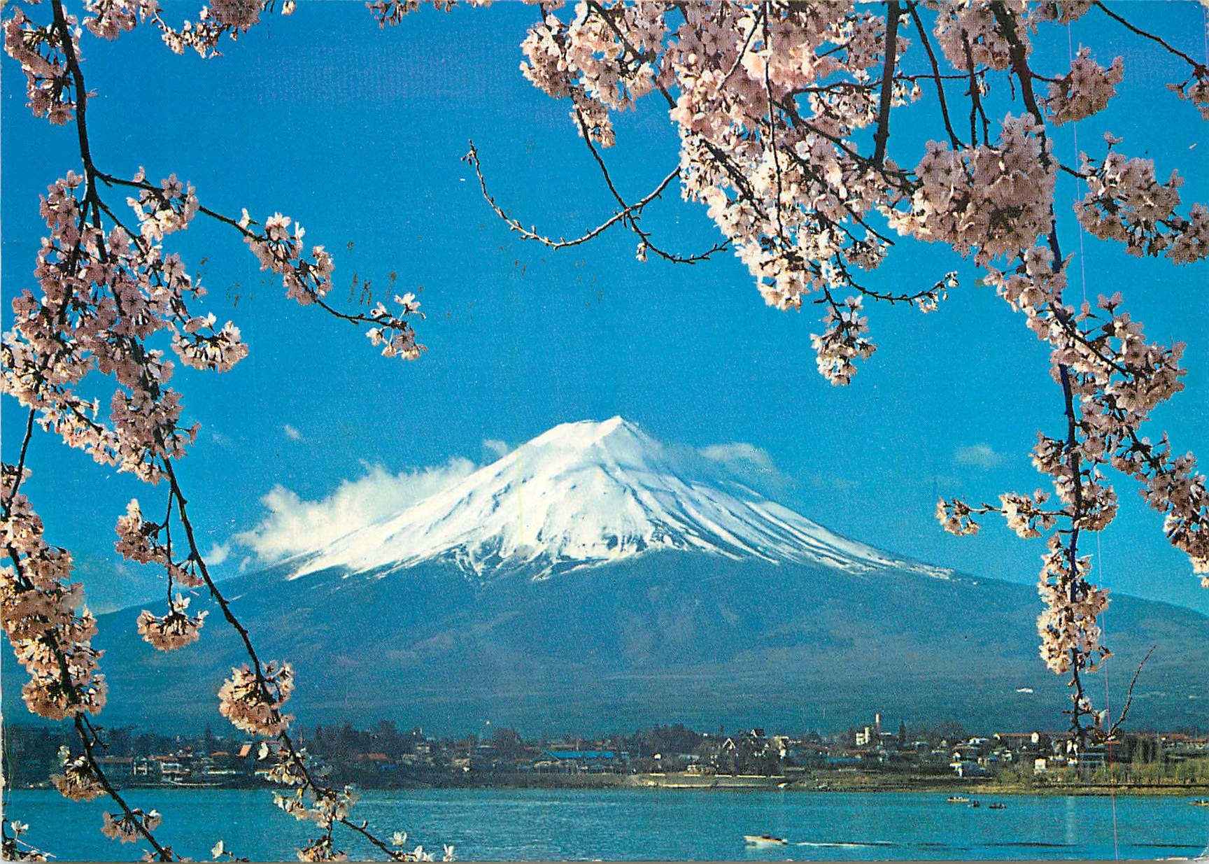 CPM Mt Fuji and Cherry Blossoms The symbals of japan as viewed from Kawaguchi lake
