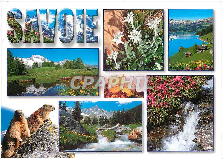 CPM Image de Montagne a la Decouverte de la Savoie au coeur de l'ete