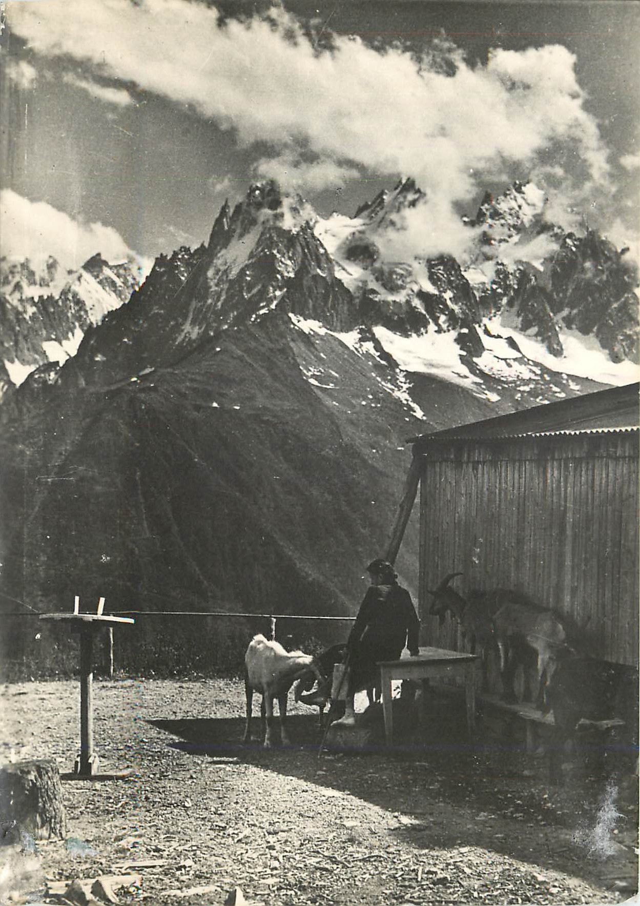 Mont Blanc — vue alpine avec berger et chèvres — Éditions DÉPY, n°2324