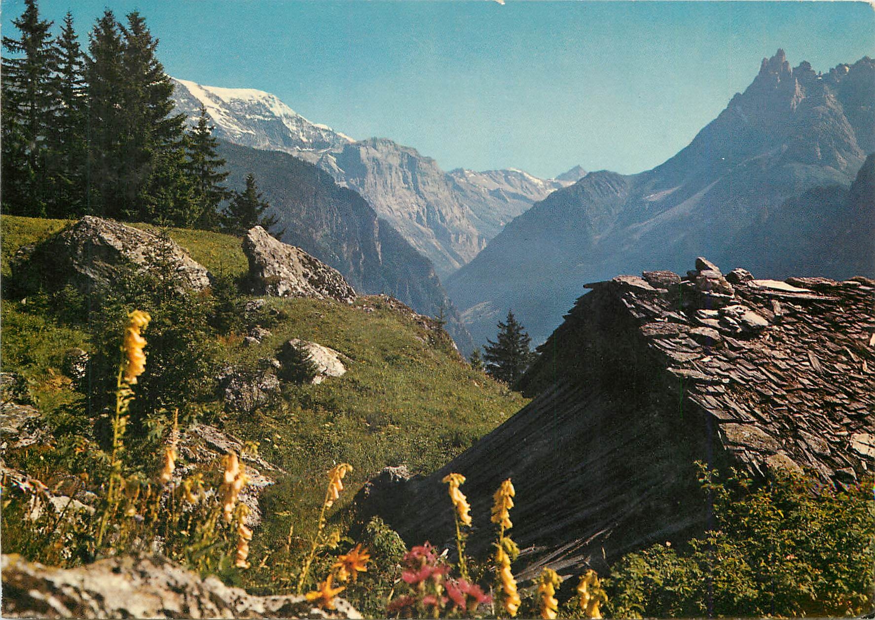 CPM Les Alpes en couleurs naturelles Refuge de berger en haute montagne