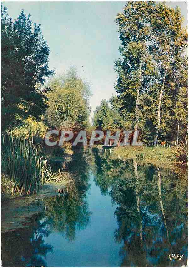 CPM Marais Poitevin La Venise Verte Le Biei Biffour Route d'eau de Coulon a la Garette