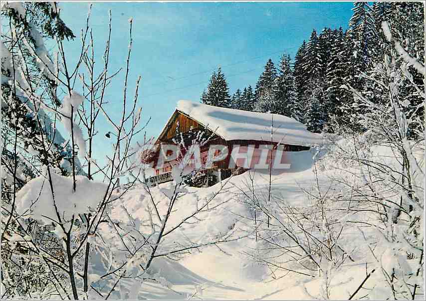 CPM L'Hiver dans Nos Montagnes Feerie neigeuse
