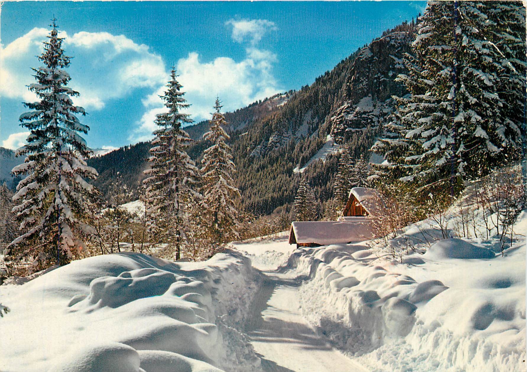 CPM L'Hiver dans nos montagnes chemin de neige
