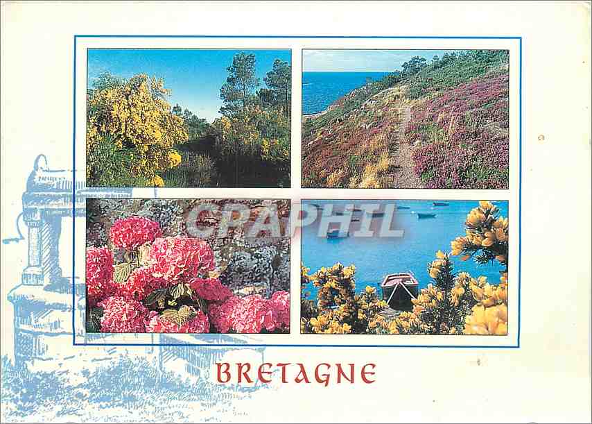 CPM Couleurs de Bretagne Genet bruyere bortensia et ajonc