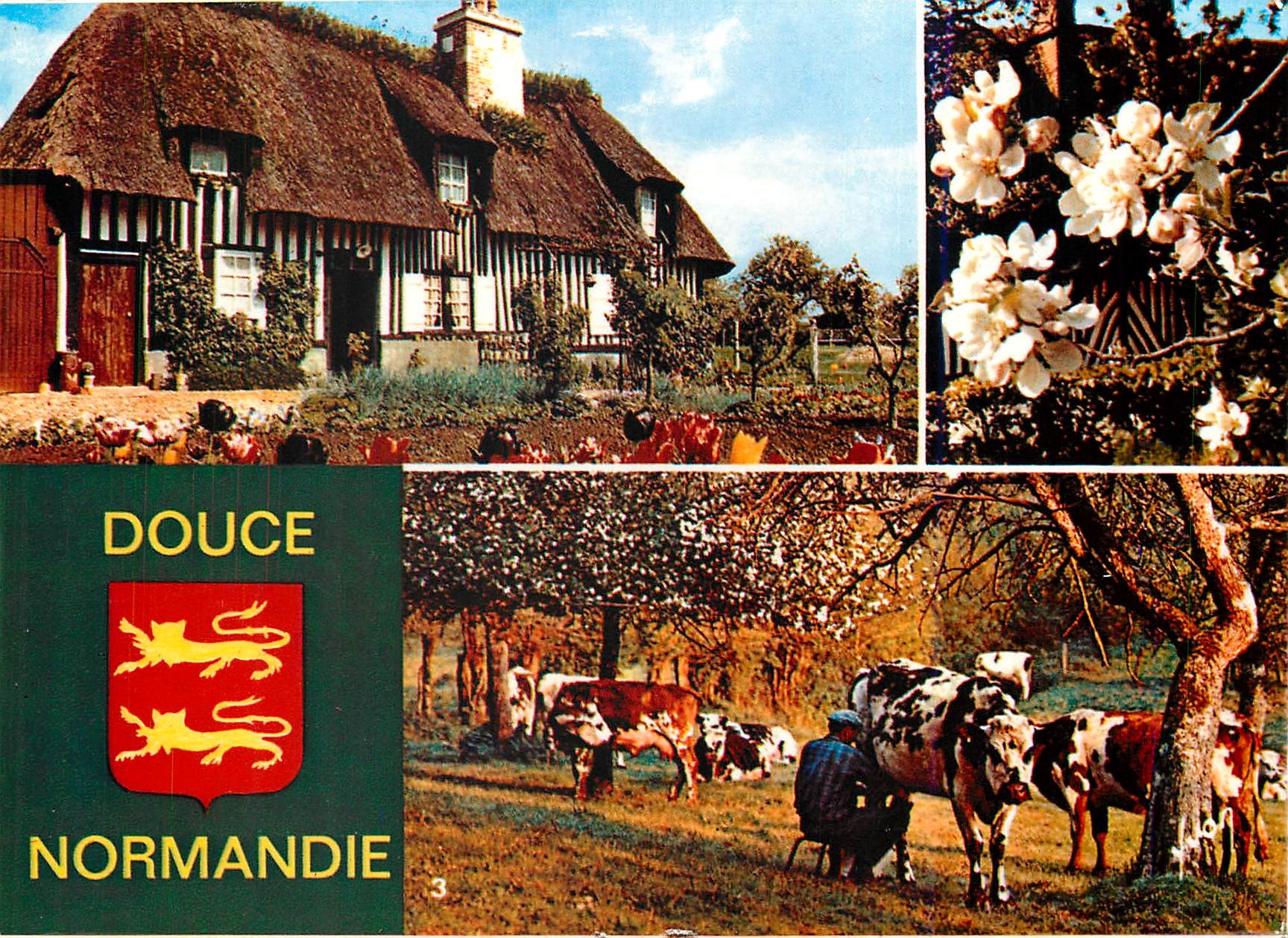 CPM Couleurs et Lumiere de France La Douce Normande