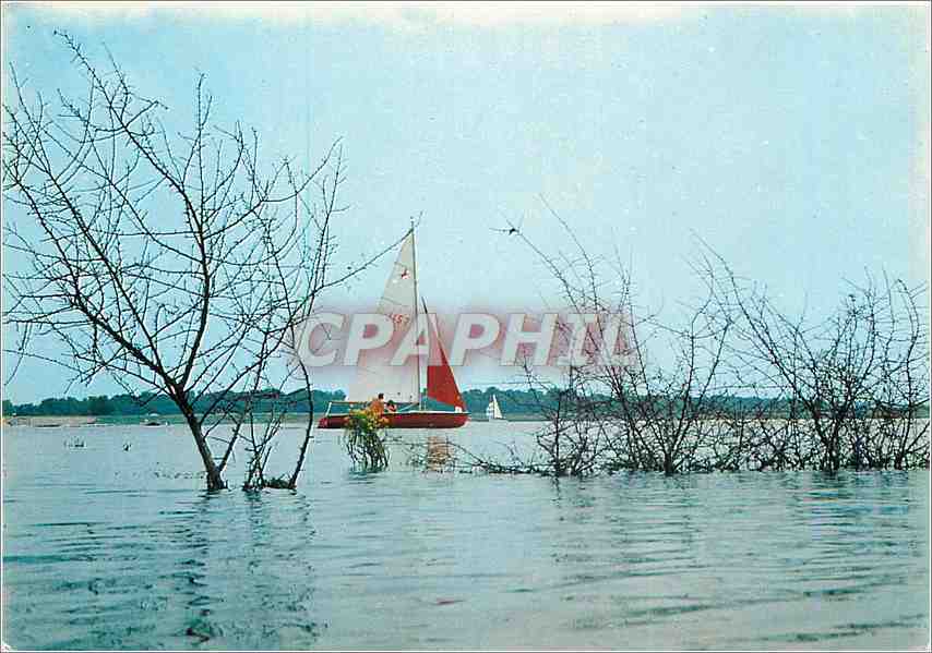 CPM Parc Naturel Regional de Lorraine au pied des cotes de Meuse l'etang de Madine (Voile canoe Kaya