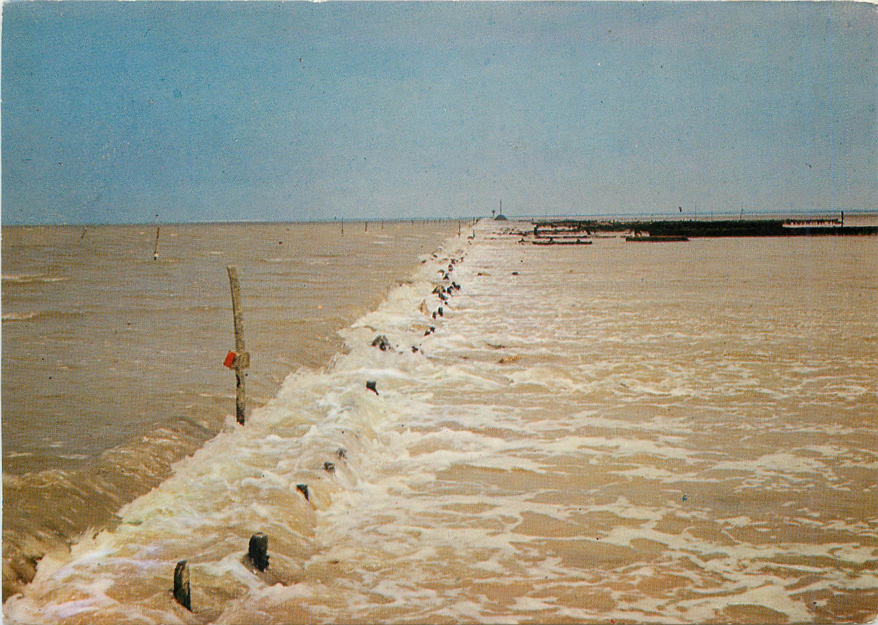 Ile de Noirmoutier — passage du Gois — éditeur Théodiac, série A 15