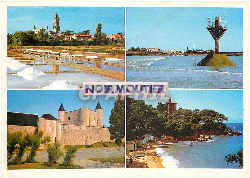 CPM Ile de Noirmoutier (Vendee) Mimosas Island l'Ile aux Mimosasrelliee au continent par une submers