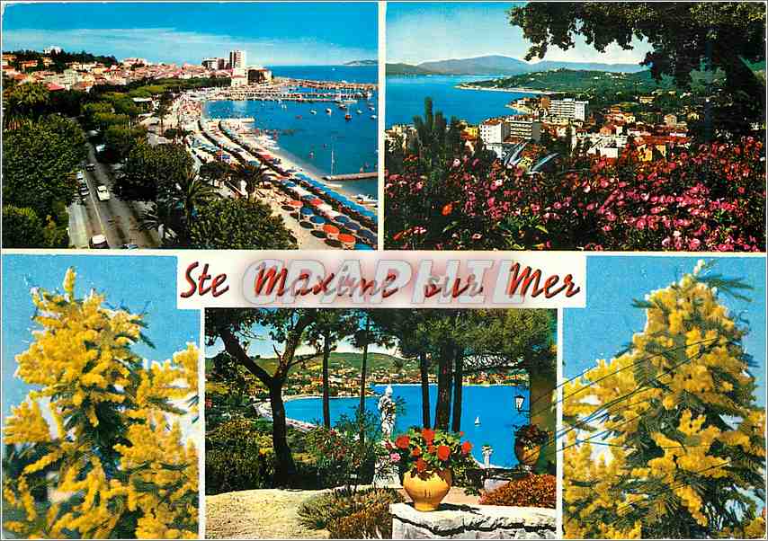 CPM La Cote d'Azur Sainte Maxime sur Mer (Var) La Promenade et la Plage vue generale la Baie